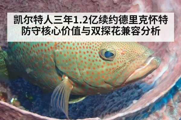 凯尔特人三年1.2亿续约德里克怀特防守核心价值与双探花兼容分析