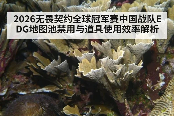 2026无畏契约全球冠军赛中国战队EDG地图池禁用与道具使用效率解析