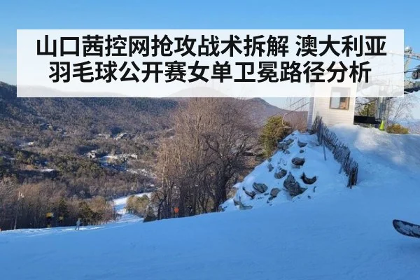 山口茜控网抢攻战术拆解 澳大利亚羽毛球公开赛女单卫冕路径分析